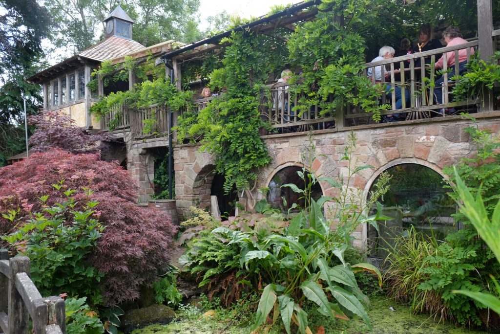 Probably the Best Garden Centre in Cumbria (and it’s not Hayes